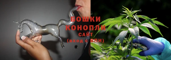 прущие крисы Арсеньев